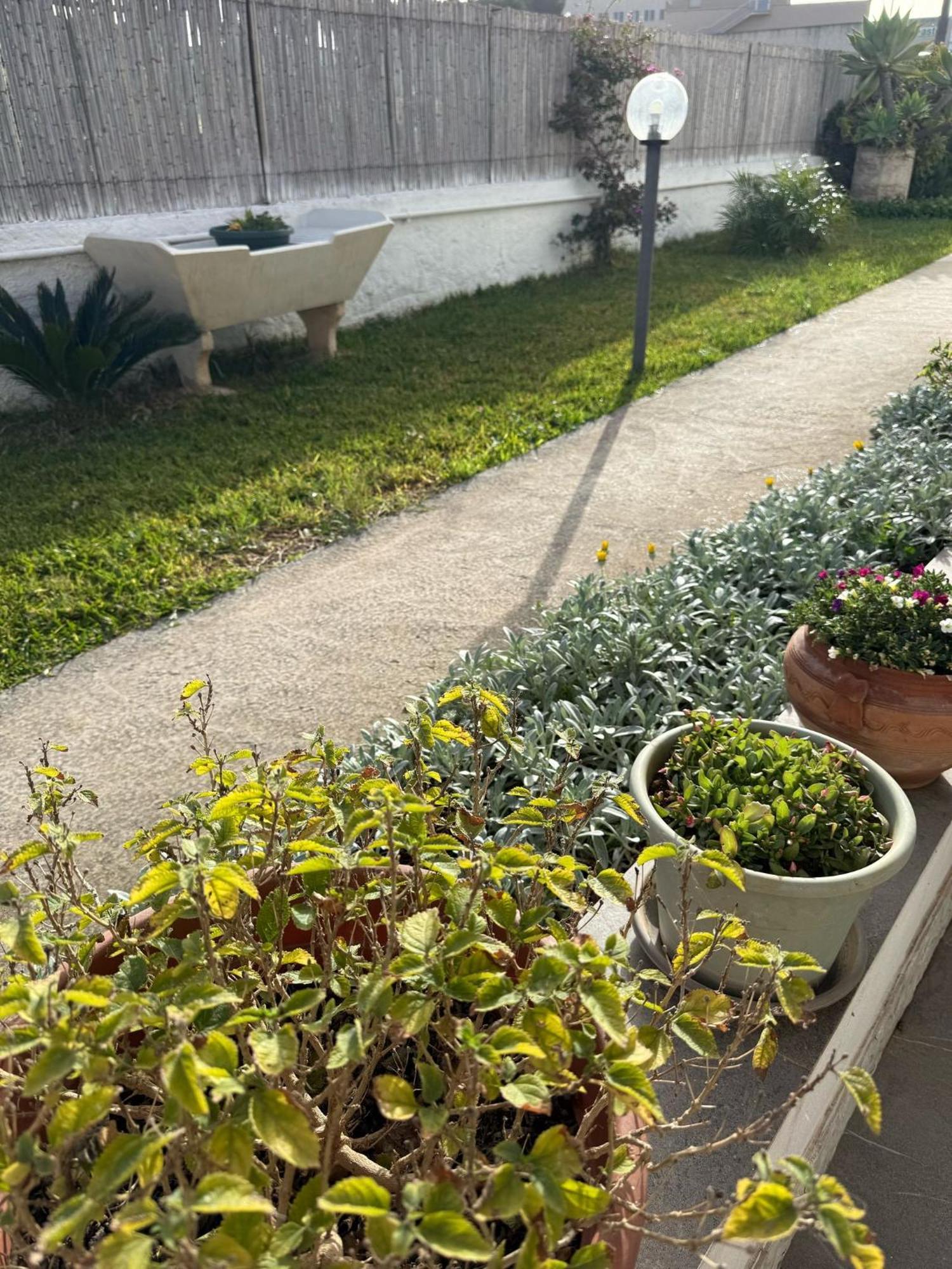 مارسالا A Casa Di Coso B&B المظهر الخارجي الصورة
